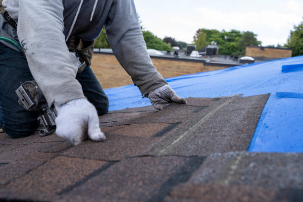Roof Gutter Cleaning in Lancaster, OH